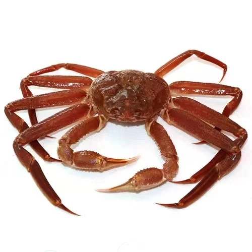 断氧板蟹沈阳市内五区下单