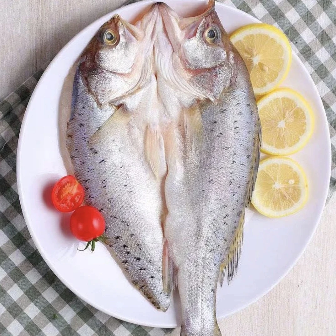 开背海鲈鱼（500-550g)冷冻海鲈鱼家庭装
