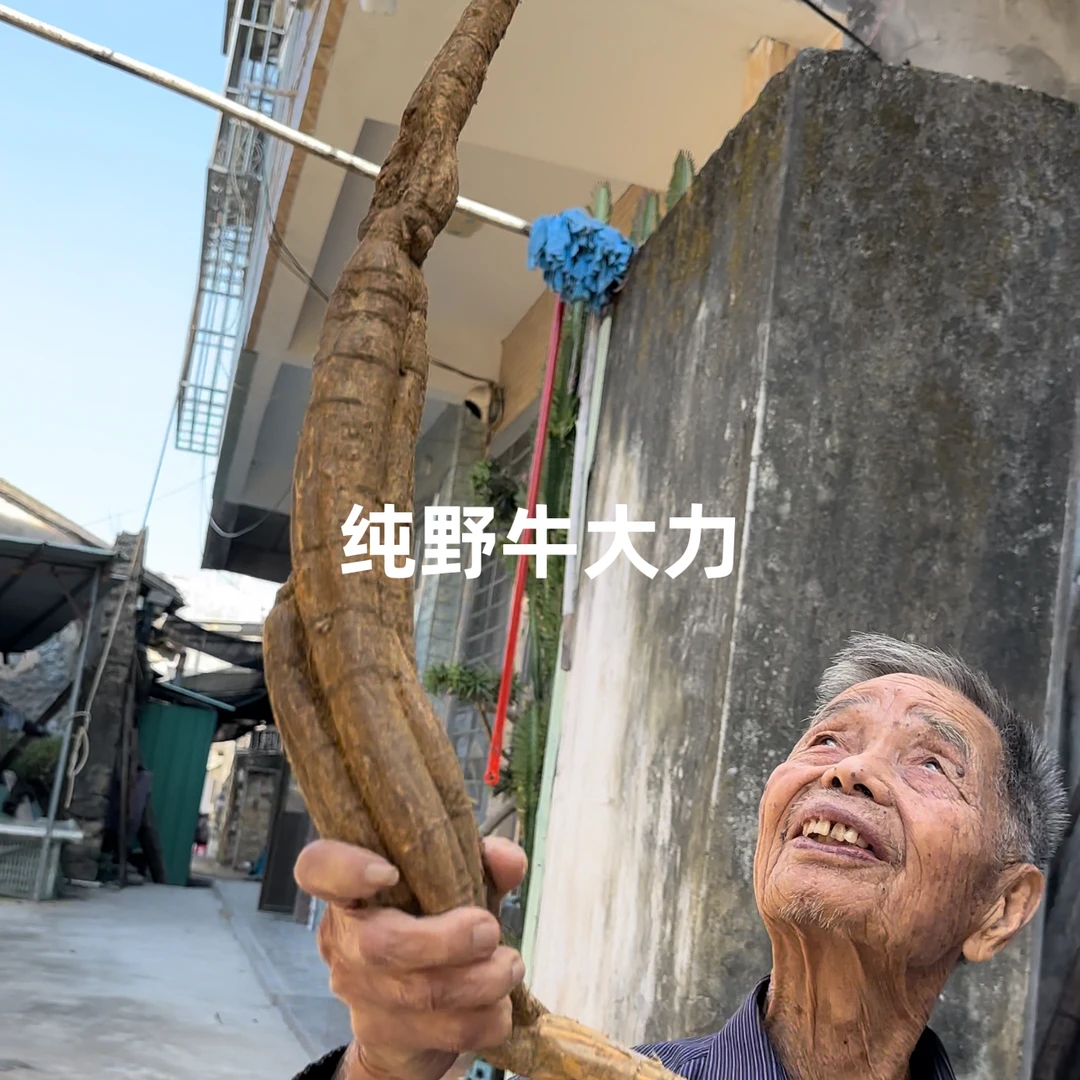 广东饶平本土野生牛大力正宗野货切片晒干发货