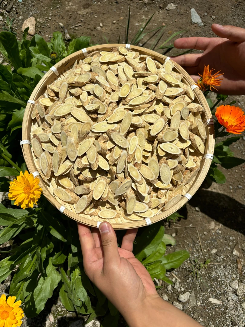 四宝茶（黄芪250g+党参250g+老麦冬250g+西洋参250g）