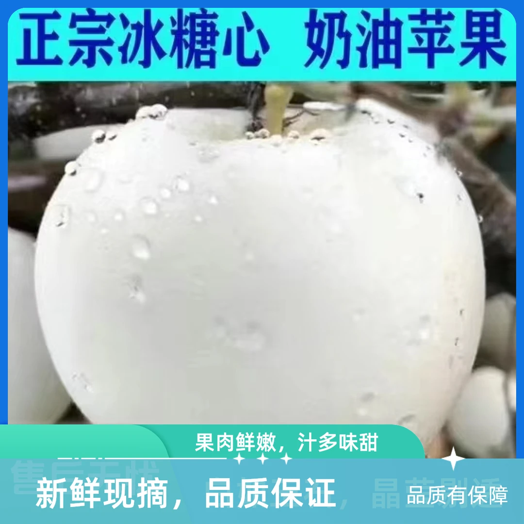 冰糖心奶油白苹果【盆栽地栽】