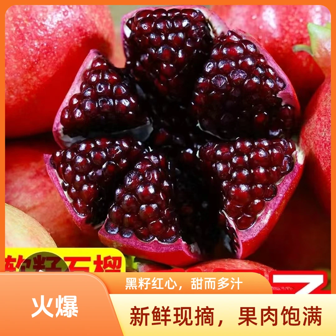 突尼斯软籽石榴【盆栽地栽】