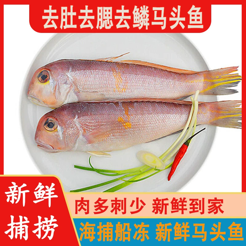 潮海堂马头鱼三去鲜活速冻美味好吃海钓冷冻海鲜水产冷链包邮发货