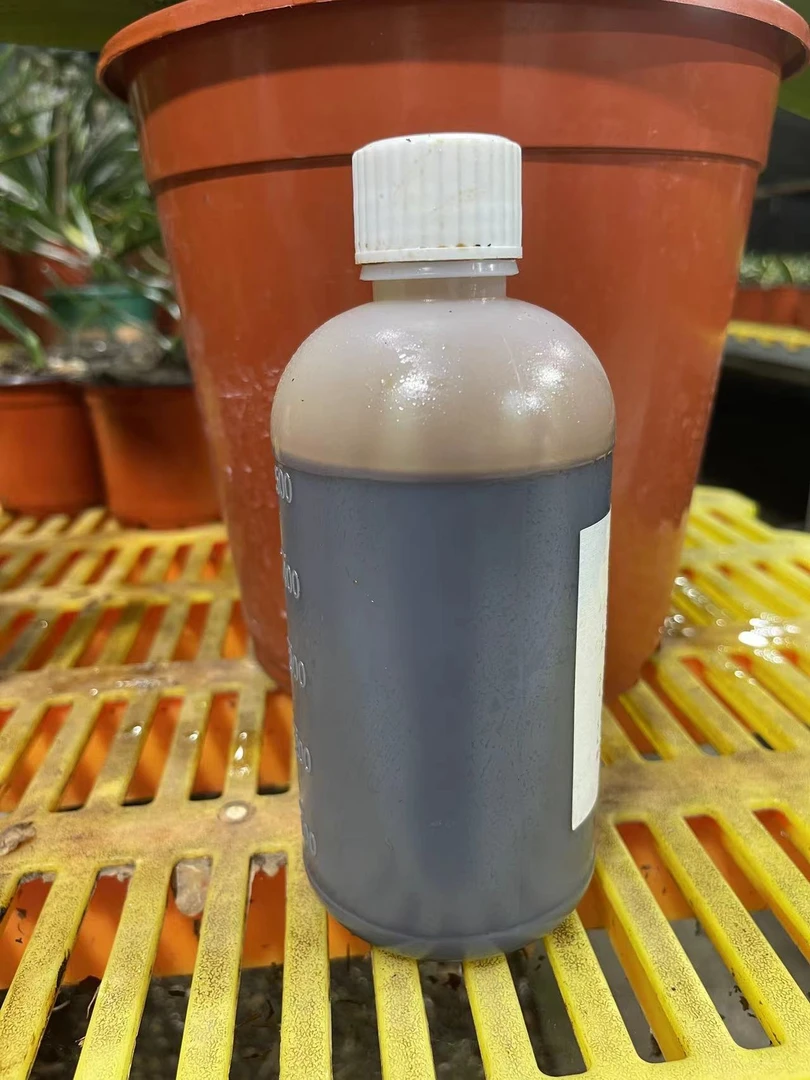 ⑧号君子兰花肥液体氮磷钾（10-14-20）