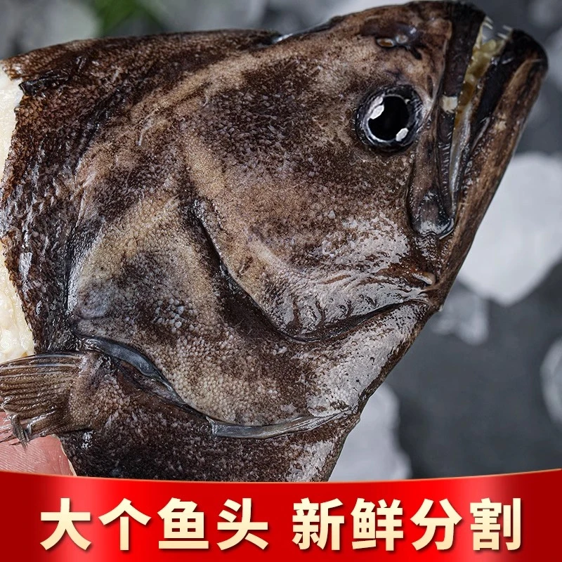 碟鱼头冷冻鲽鱼头超大鸦片鱼头深海新鲜比目鱼商用批发蝶鱼头海鲜