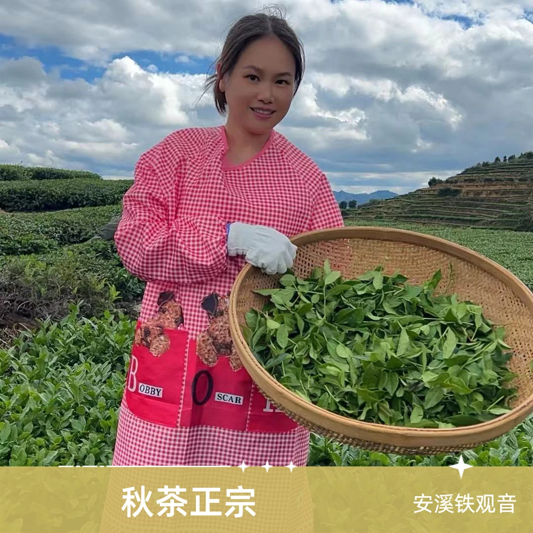 2025秋茶安溪祥华高山正宗铁观音消正口味78-138