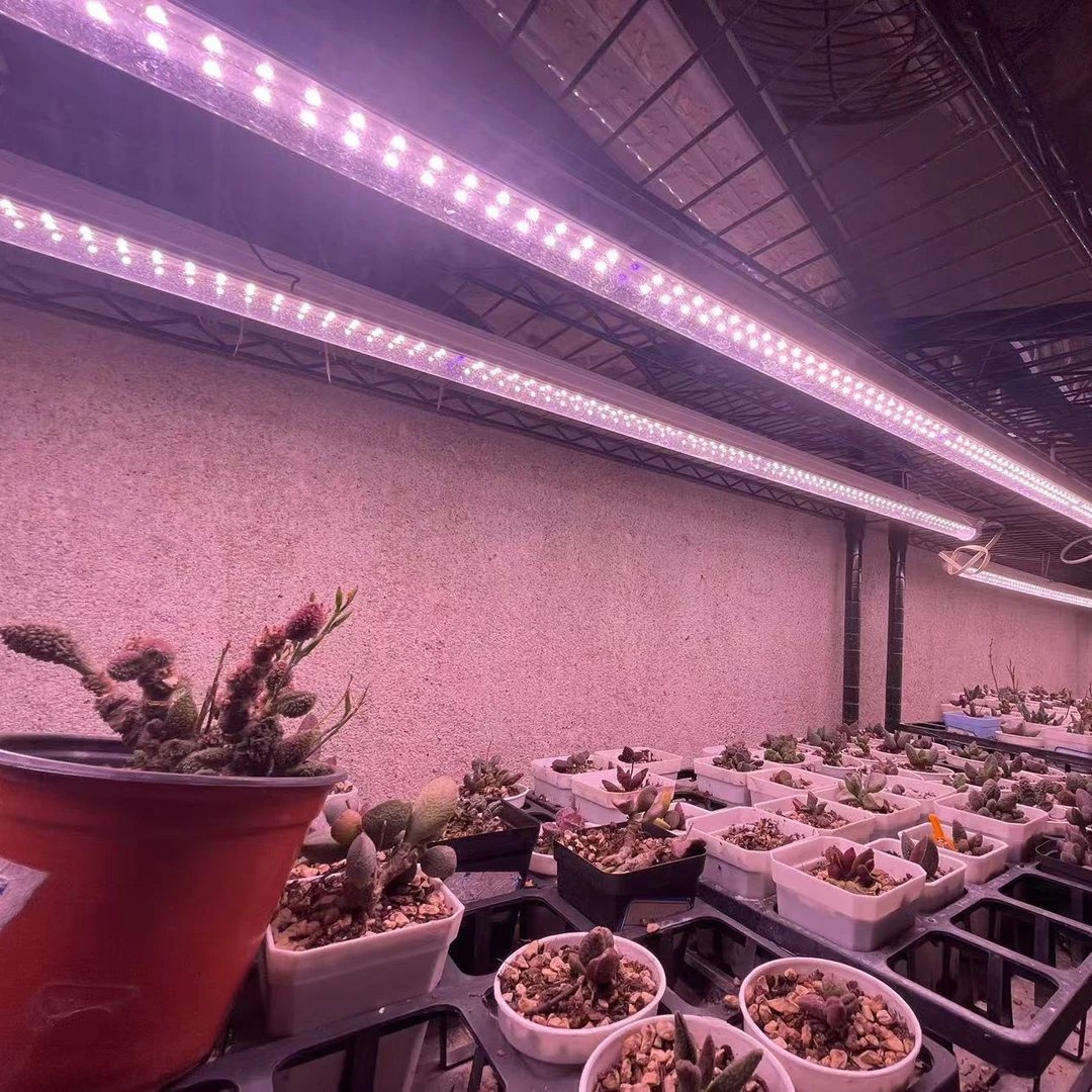 植物上色灯 太阳灯 多肉水泡 生长灯两根