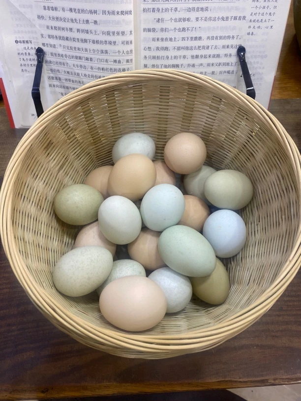 新款大号方形鸡蛋储物篮