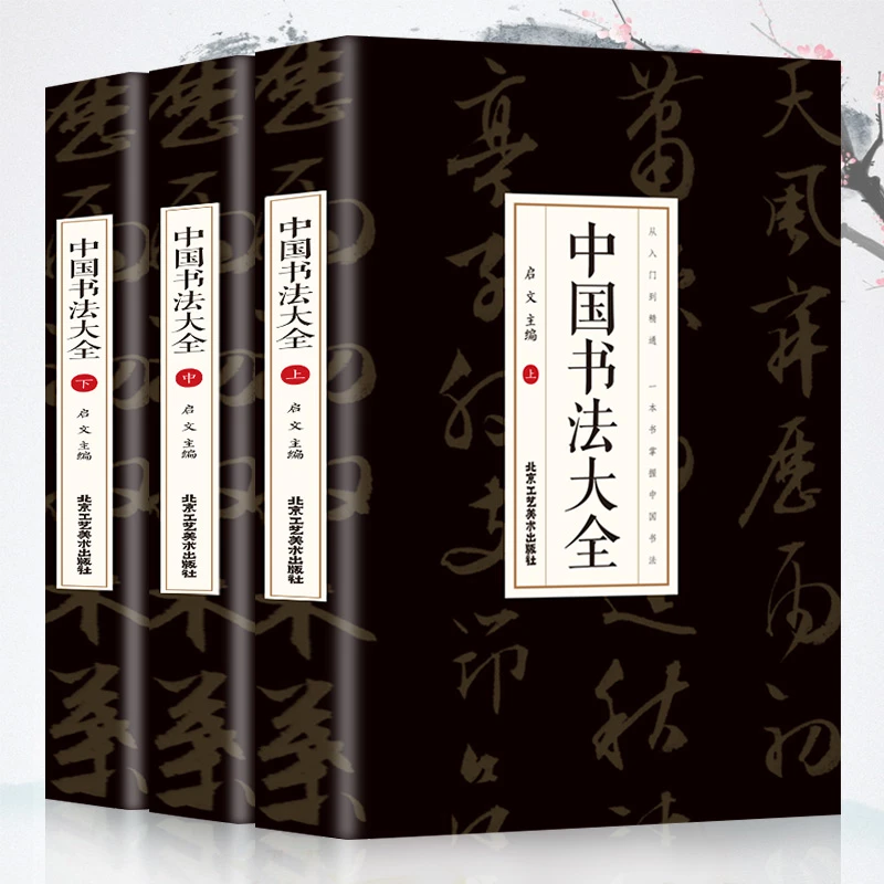 中国书法大全从入门到精通学书法颜真卿欧阳询赵孟俯楷书行书草