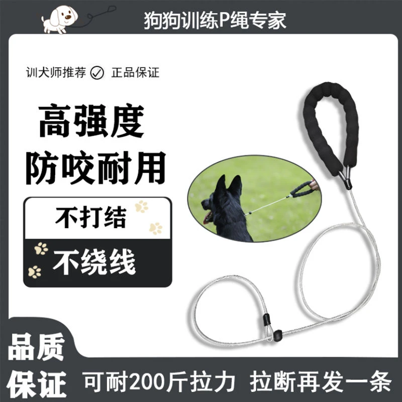狗狗牵引绳防爆冲一体式p绳小狗项圈小型犬p链中型犬大型犬狗链子