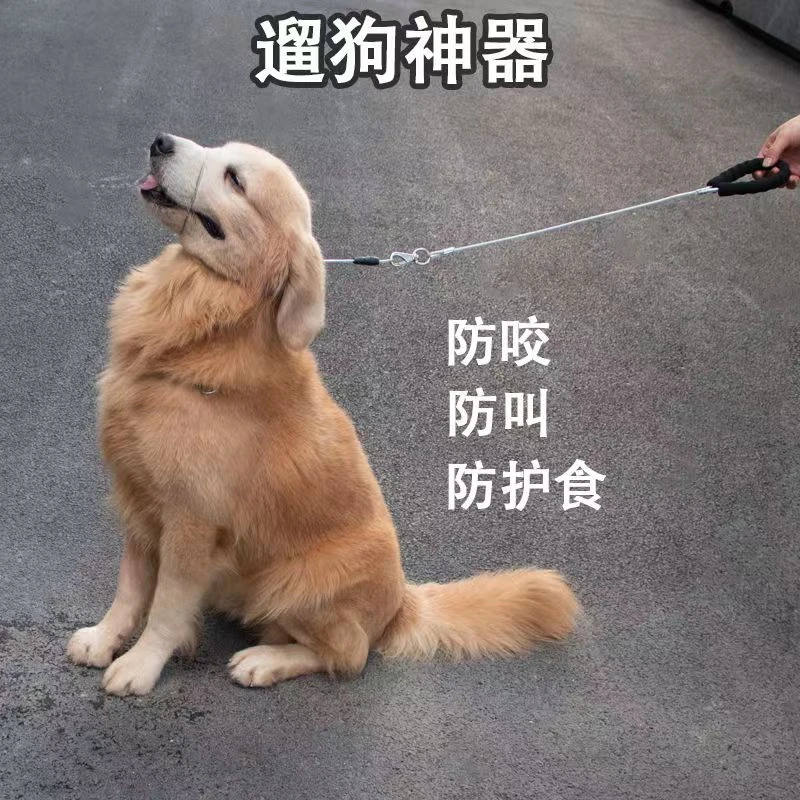 狗嘴牵引绳外出防挣脱狗链子防爆冲误食小型犬中大型犬钢丝拴狗绳