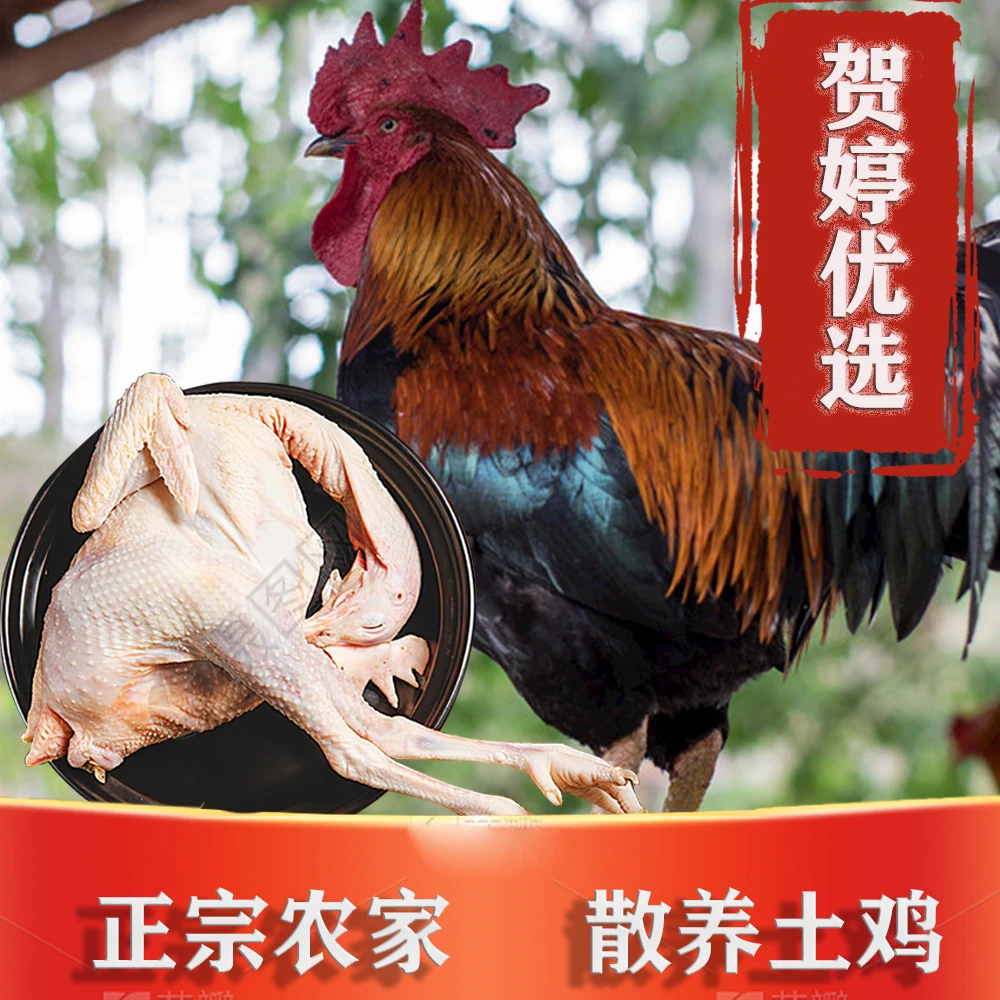【 198六个任选】生鲜整鸡