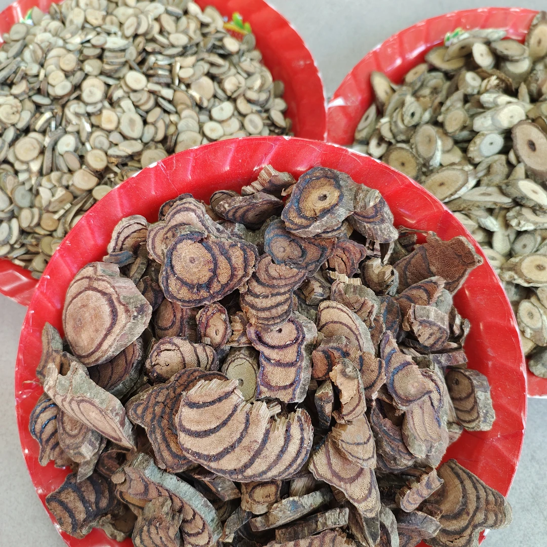 ［双腾汤］鸡血藤海风藤桂枝