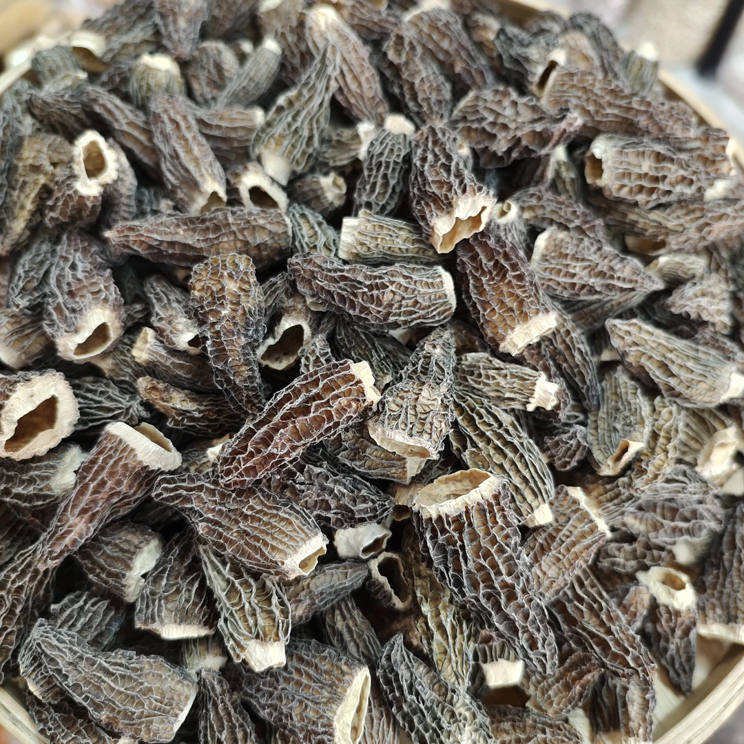 ［云南羊肚菌］初级农产品羊肚菌菇
