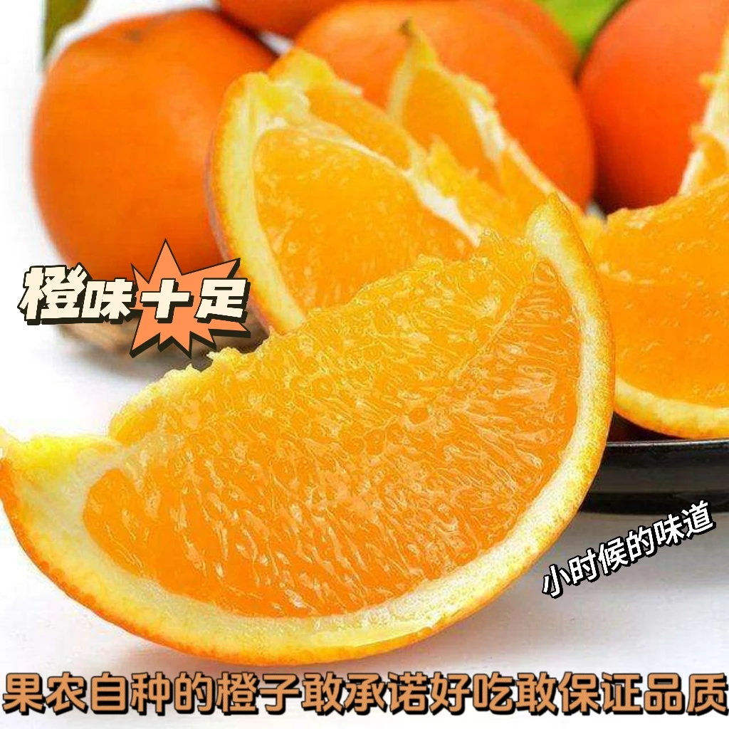正宗赣南风味脐橙产地直发净重5斤/9斤手剥橙子好吃新鲜应季水果