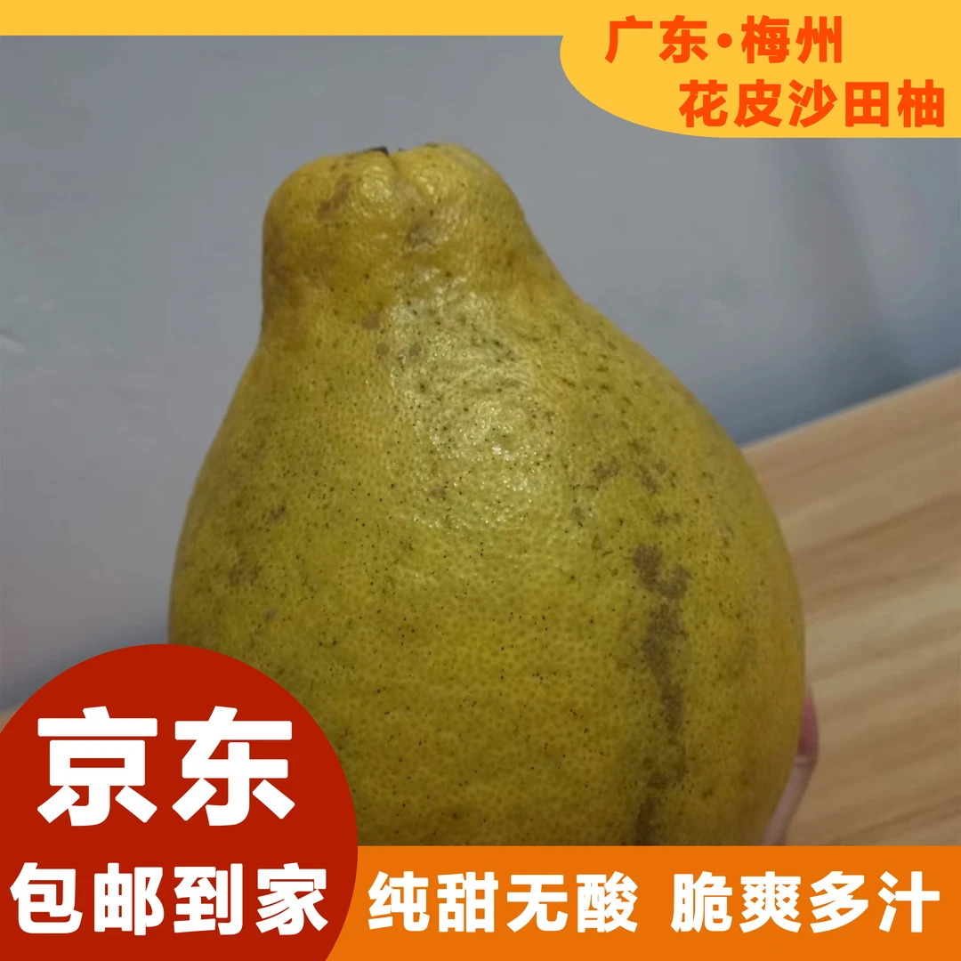 【沙田柚丑果花皮果】正宗广东梅州沙田柚头茬新鲜现摘产地直销