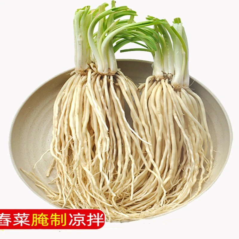 云南德宏特产 撇菜根 拌牛皮拌菜腌制炖汤