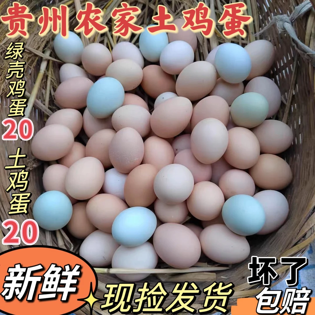 养殖虫草包谷山林新鲜农家散养蛋现捡现发乌骨绿壳土鸡蛋健康包邮