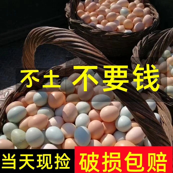 正宗土鸡蛋草鸡蛋农家林间散养新鲜笨柴鸡蛋月子儿童辅食健康盒装