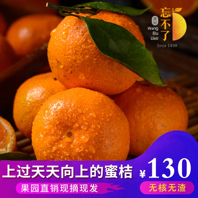 忘不了正宗涌泉蜜桔5斤装【铂金果】新鲜水果无核橘子柑桔当季水果