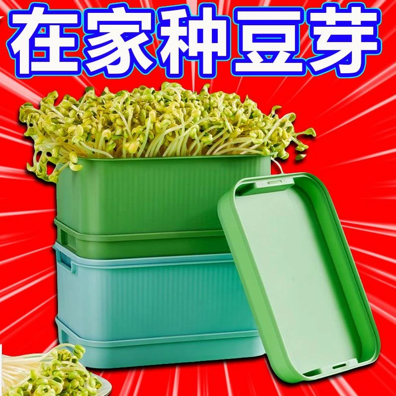 新款育苗盘家用水培大容量豆芽菜绿豆芽芽苗菜种植黄豆芽无土发芽