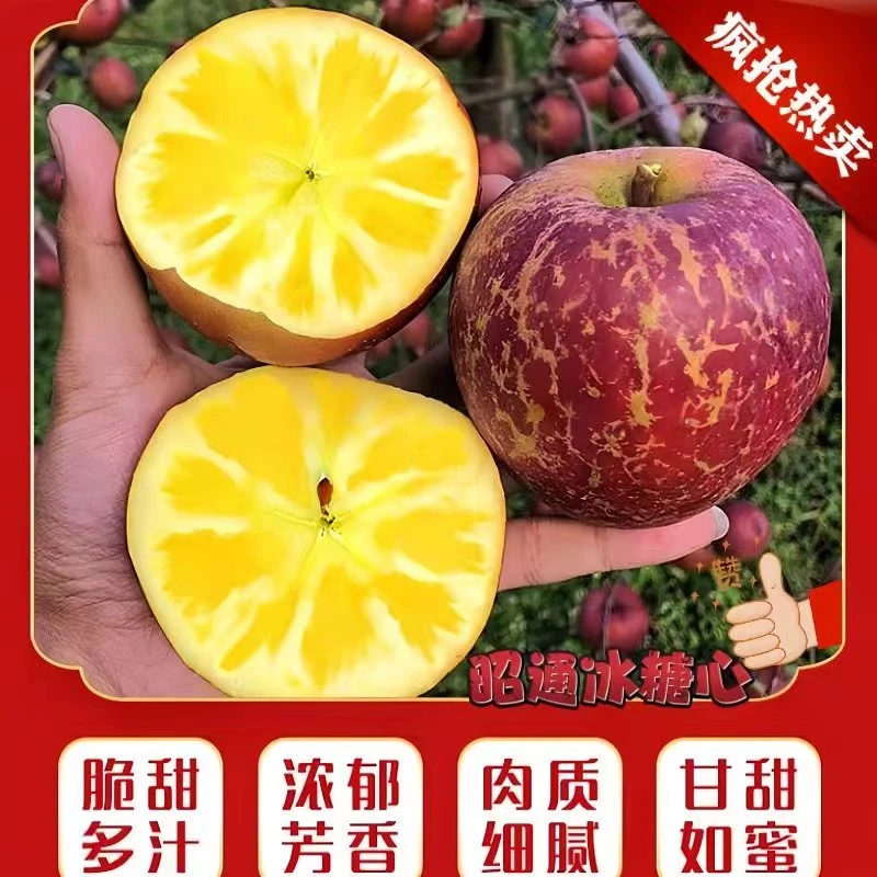 云南昭通冰糖心富士丑苹果农家种植现摘现发水果大果脆甜5/10斤装