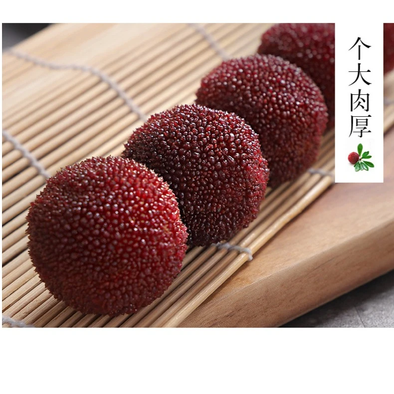 【9A贡品级】仙居东魁杨梅新鲜杨梅现摘现发产地直发送礼佳品颗粒装