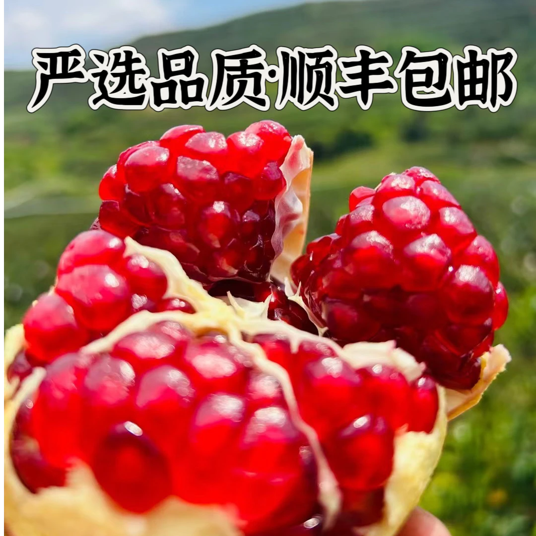 【2025会理石榴顺丰包邮】正宗会理软籽石榴新鲜采摘当季孕妇水果