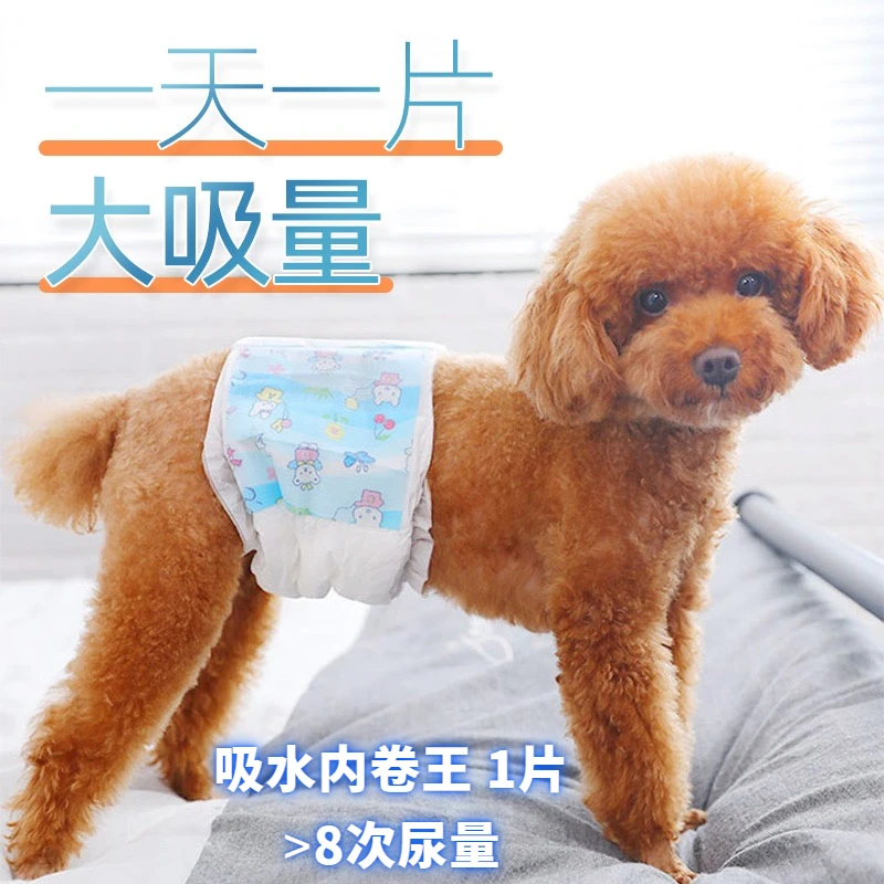 【干爽舒适】狗狗尿不湿公狗狗纸尿裤礼貌带夏季一次性超薄生理裤