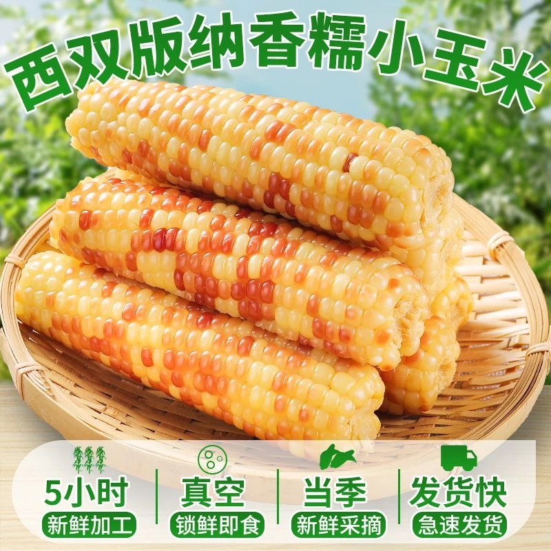 美食农科院花糯玉米香糯早餐10斤真空软糯1斤Z代餐粗粮即食糯玉米