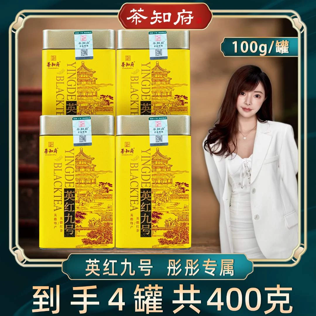 【茶知府】当季正宗英德红茶英红九号罐装源头茶厂直销新茶红茶