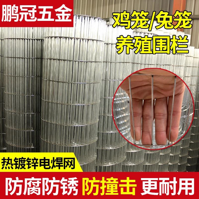 鸟笼网鹤鹑网养殖网电焊网卷长孔养鸡网家用防护镀锌铁丝网鹦鹉笼