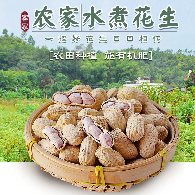 2024年新果河源忠信花生水煮日晒咸干花生软糯鲜甜农产品坚果零食