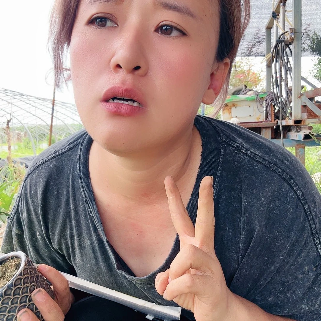 台湾李氏樱桃盆景