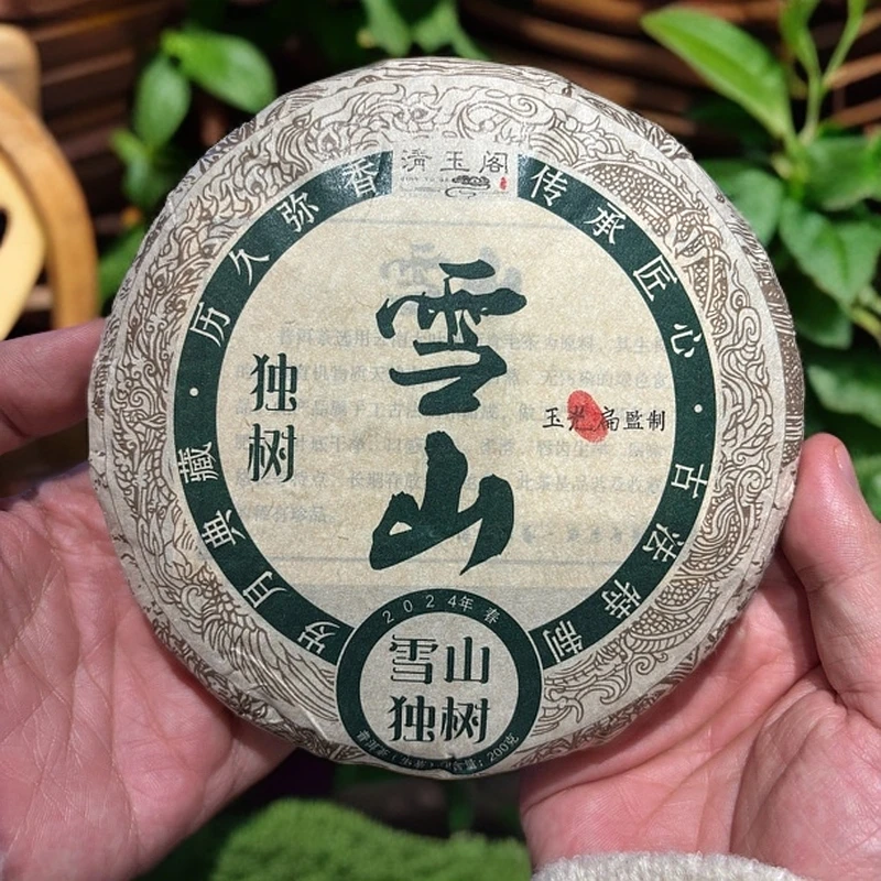 【雪山独树】一泡回甘，两泡喉韵  2024头春 花香浓醇  普洱生茶