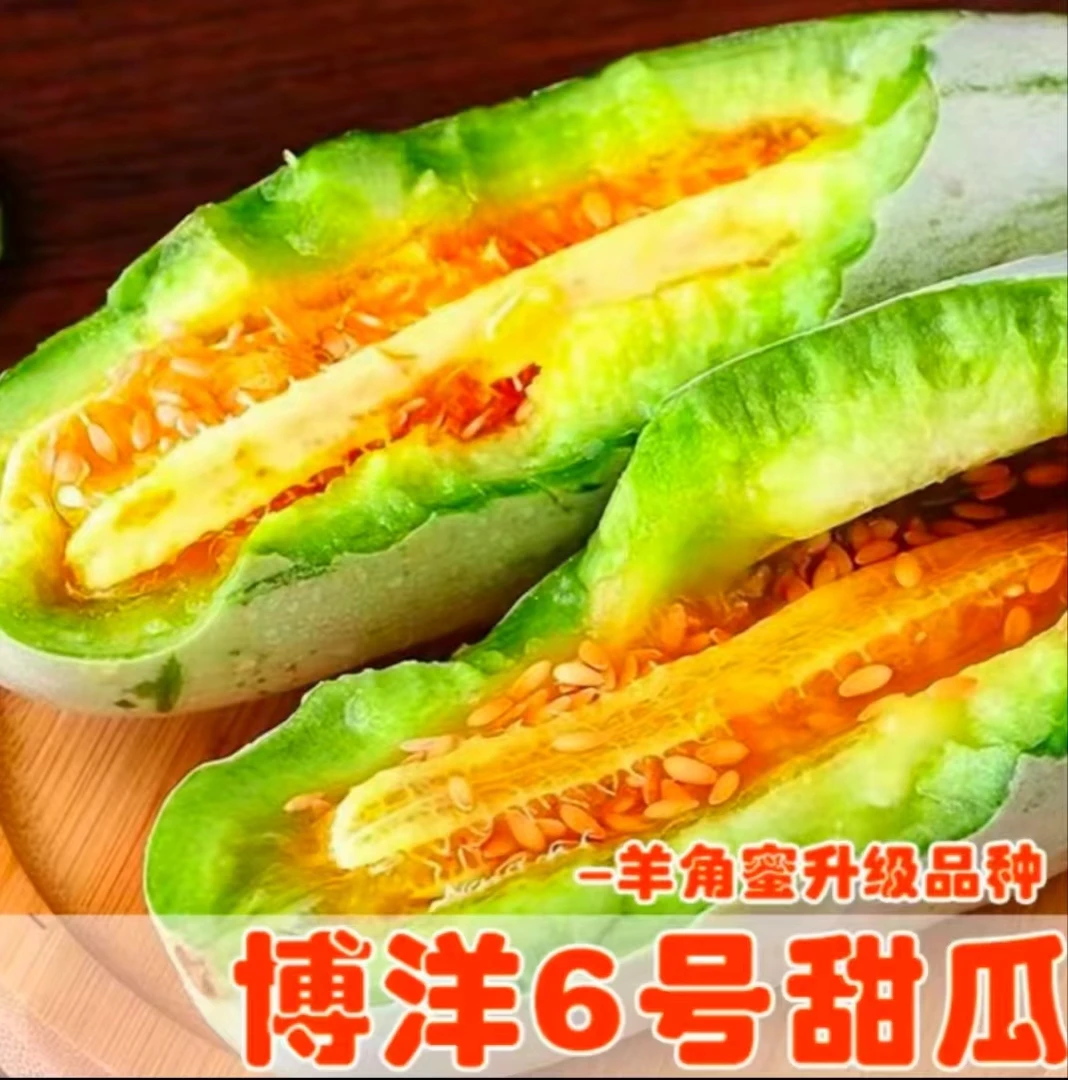 【坏果包赔】山东博洋61甜瓜（不是普通羊角蜜）4.5斤新鲜现摘坏包赔