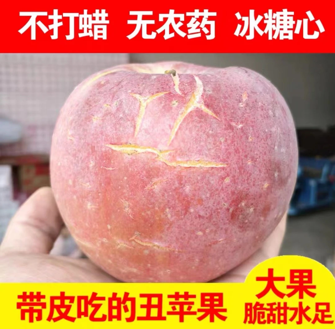 【坏果包赔】山西膜袋富士冰糖心苹果应季新鲜水果5-9斤丑苹果多汁N