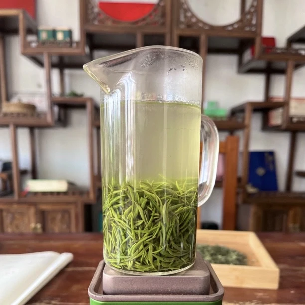 【四望山】高山白露小芽
