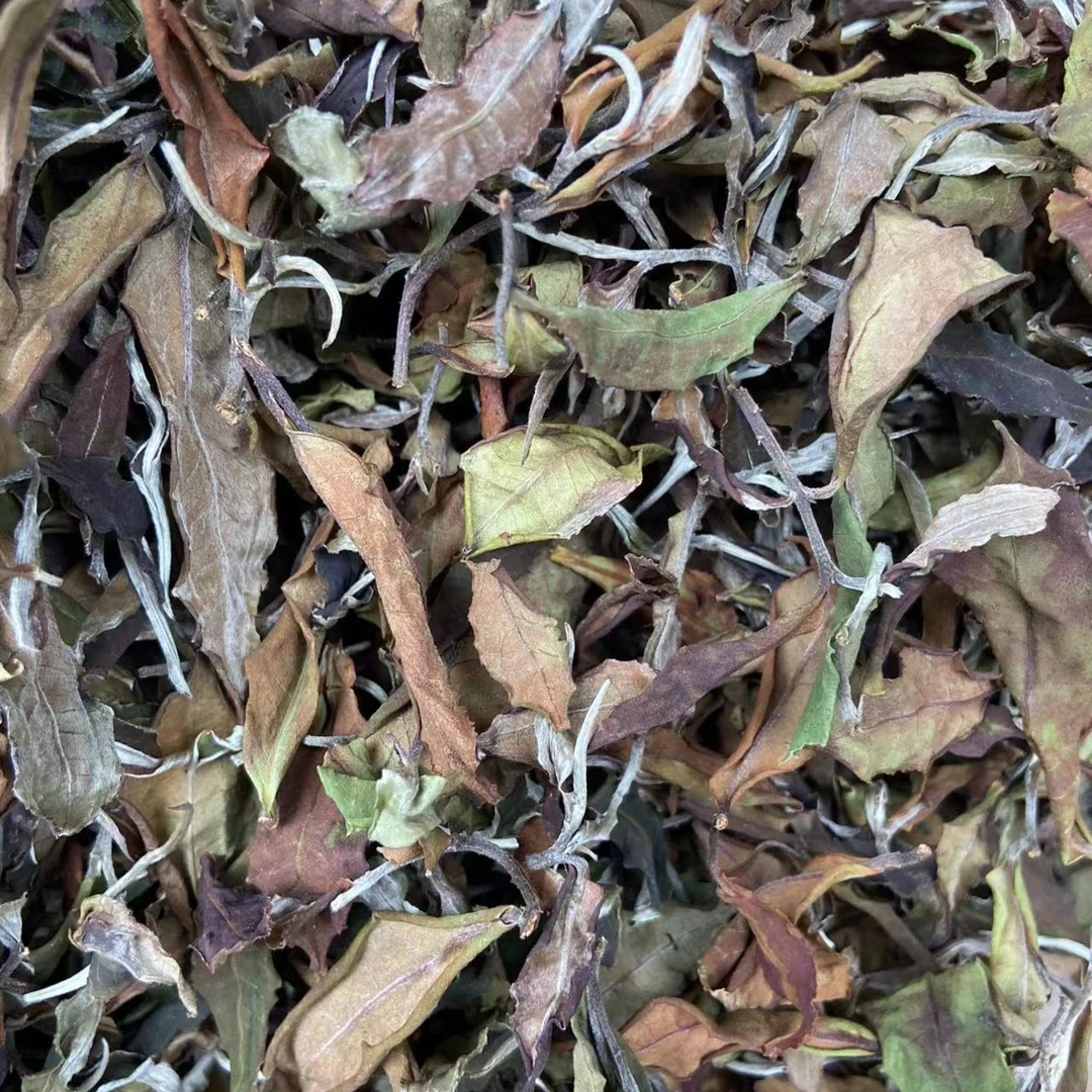 鹏林號老树白茶,小玉私房茶