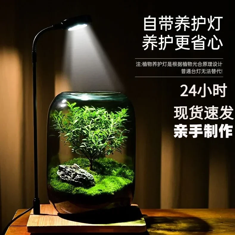 生命之树苔藓微景观客厅书房前台高雅质量绿植桌面生态瓶植物摆件