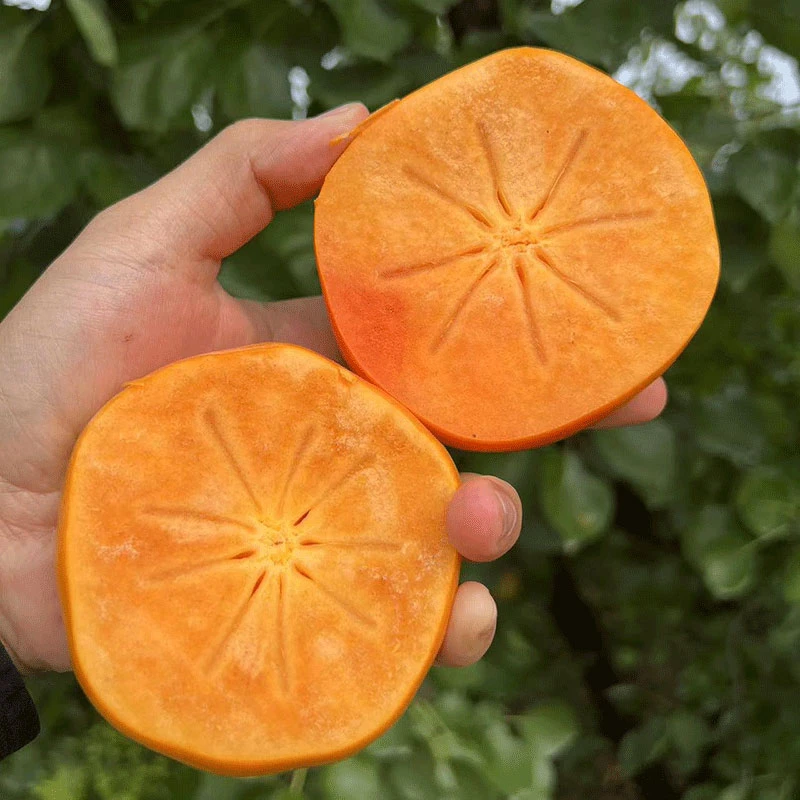 当季新鲜冰糖心脆柿子孕妇水果甜脆不涩口农家自产整箱包邮