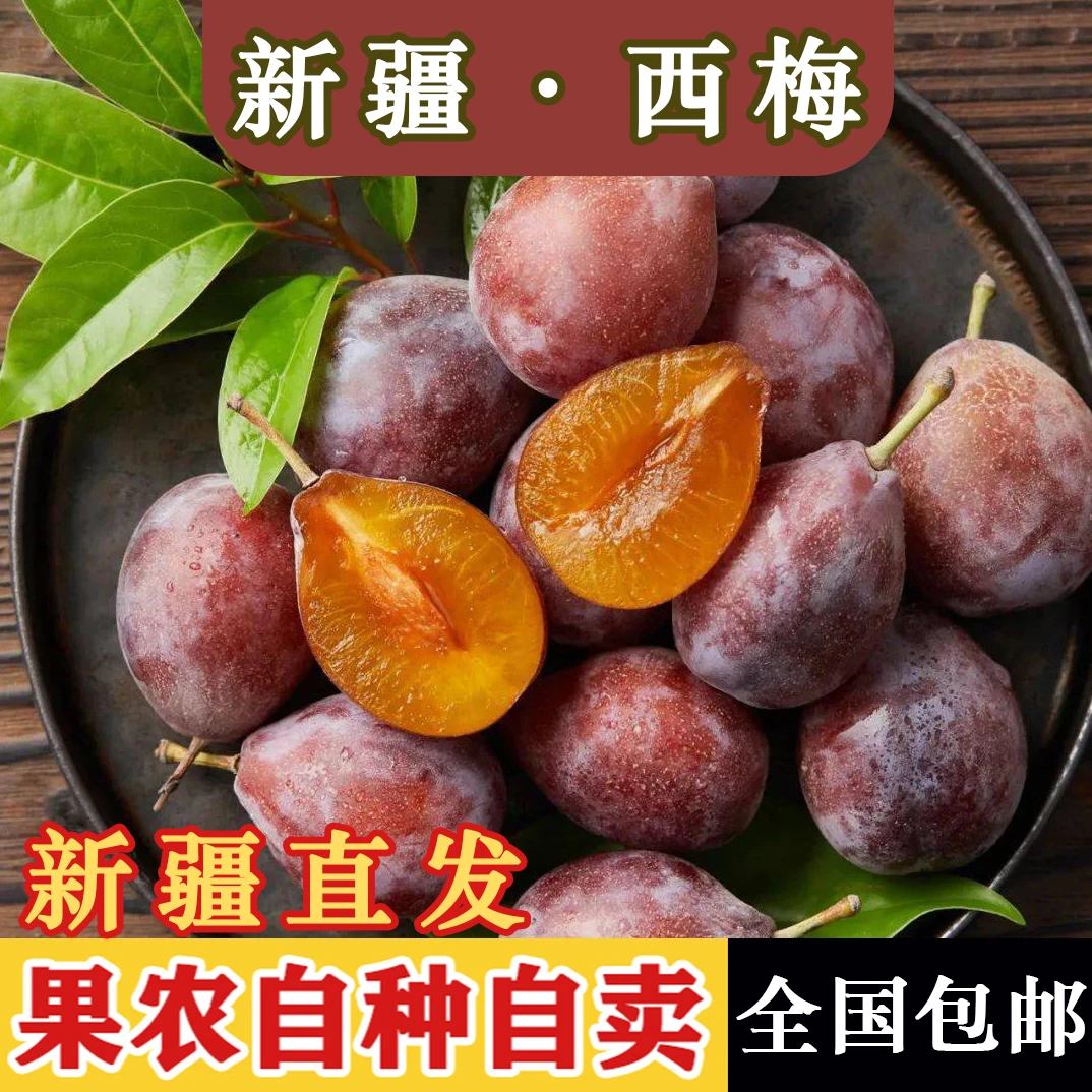中果5斤新疆喀什法兰西西梅产地航空直发香甜冷藏紫衣新鲜产品
