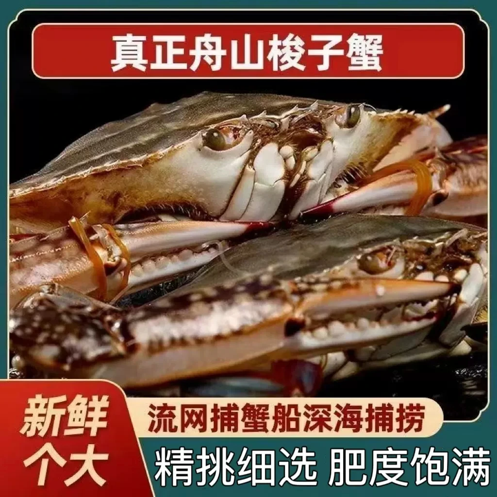 【张蟹生】精品梭子蟹大白蟹5-9两/只（到手一共4-5斤）海鲜螃蟹