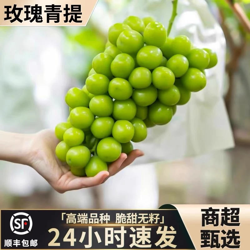 【顺丰包邮】送一斤 四川西昌阳光玫瑰葡萄脆甜无籽新鲜发货
