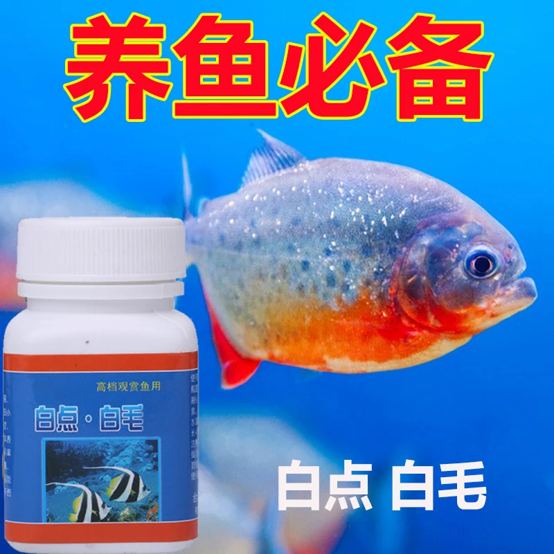 鱼专用白毛白点粉白点净锦鲤金鱼白毛白点水霉专用粉