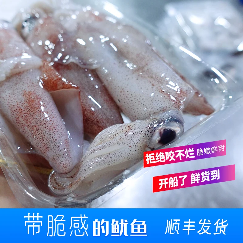 【小叽咕现称】象山石浦海鲜东海小叽咕海鲜食材小叽咕
