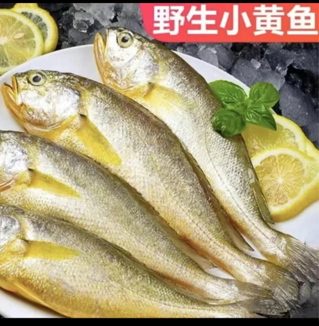 青岛本地海捕黄花鱼4斤（新鲜发货）