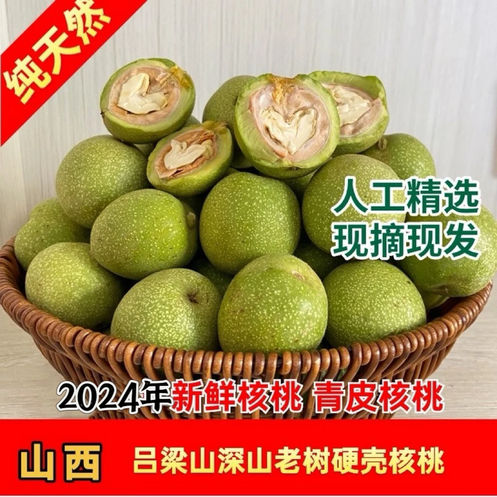山西吕梁山深山2024老树硬壳核桃新鲜青皮核桃纯天然孕妇儿童均可