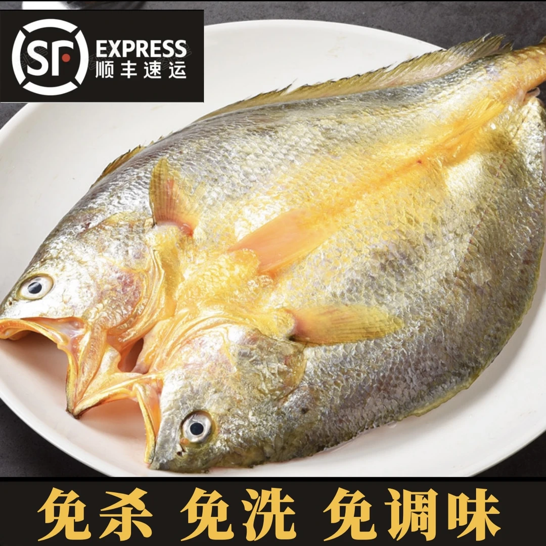 新鲜开背特大黄鱼鲞新鲜冷冻大黄鱼三去黄鱼