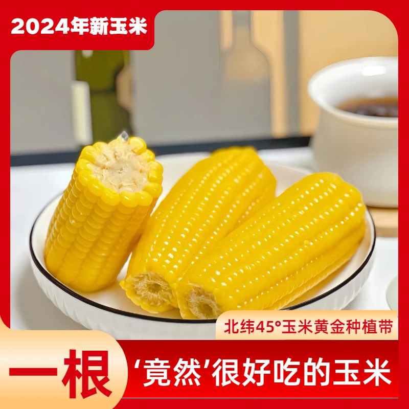 【24年头茬黄糯】东北玉米软糯香甜拉丝真空独立包装单只240克以上